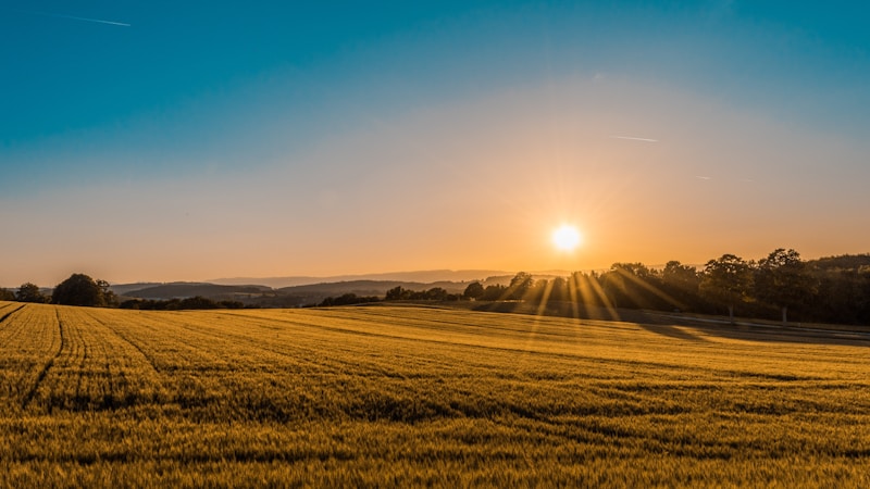 For rural businesses that have evolved beyond traditional farming with new revenue, experiences and commercial models.